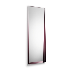 Veuillez Attendre D'être Assis Bec Miroir Grand Figue Violet