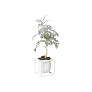 Par Lassen Kubus Flowerpot 10 Blanc