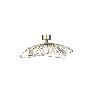 Globen Lighting Ray Applique/ Plafonnier Laiton Brossé