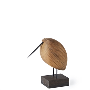 Chaud Nordic Beak Bird Lazy Snipe Teck