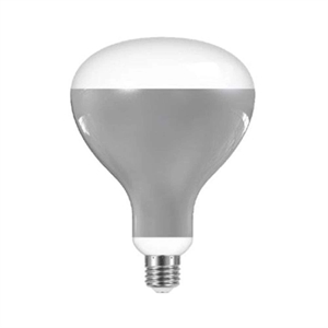 Ampoule LED Flos 13 W E27 220-240 V 2700 K R125