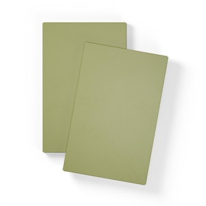 Étagère pour Grand Meuble à 1 Porte, Lot de 2, Vert Mousse