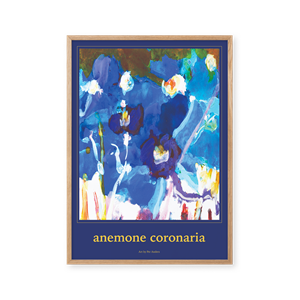 Peléton Anémone Coronaria Affiche 50x70