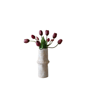Bouquet de Tulipes Botané Violet