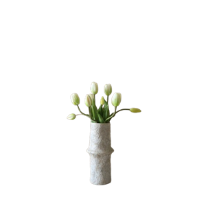 Bouquet de Tulipes Botané Blanc
