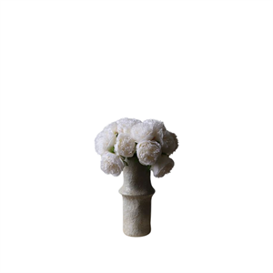 Bouquet de Mini Pivoines Blanc Botané Grand