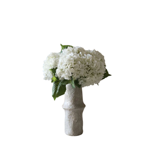 Bouquet d'Hortensias Botané Blanc