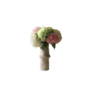 Bouquet d'Hortensias Botané Multicolore