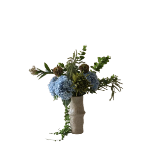 Bouquet D'eau Pétillante Botané Vert