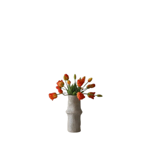 Bouquet mixte de tulipes Botané Orange