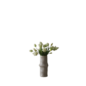 Bouquet Mixte de Tulipes Botané Blanc