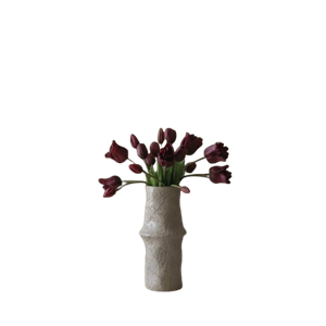 Bouquet Mixte de Tulipes Botané Violet