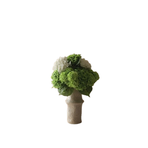 Bouquet Nuances de Vert Botané Vert