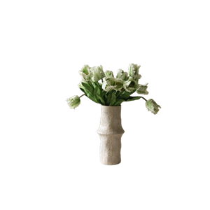 Bouquet de Tulipes Perroquet Botané Petites Blanc