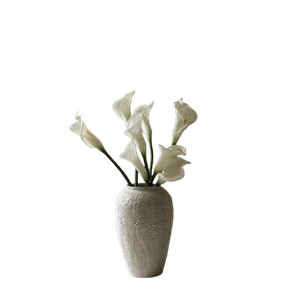 Bouquet de Lys Calla Botané Blanc