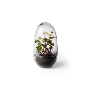 Vase de Culture Design House Stockholm, Taille Moyenne, Transparent