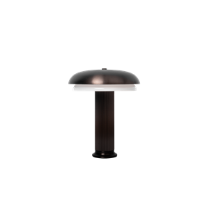 Lampe Transportable LYFA NOOTE 200 Bronze