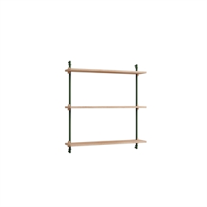 Étagère murale standard Moebe, chêne/vert pin