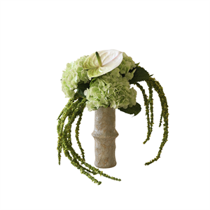 Bouquet Botané Dewdrop Symphony Vert/ Blanc
